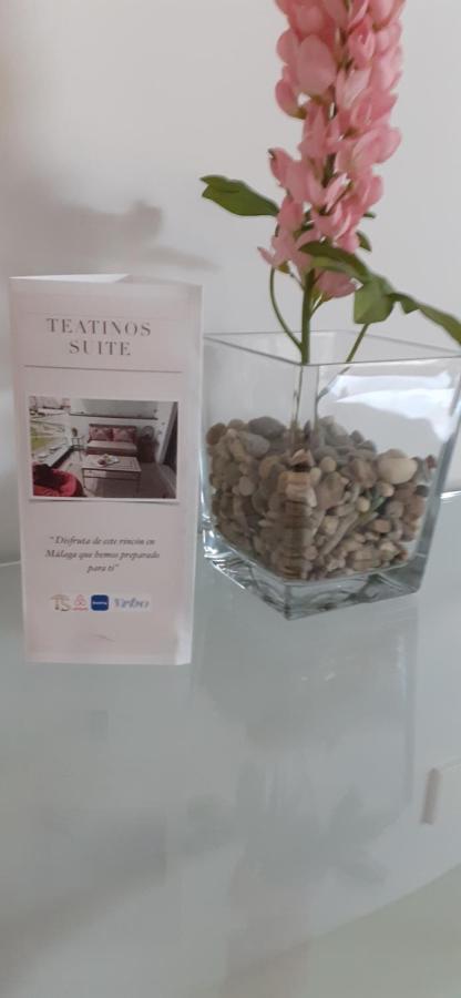 Teatinos Suite Málaga Extérieur photo